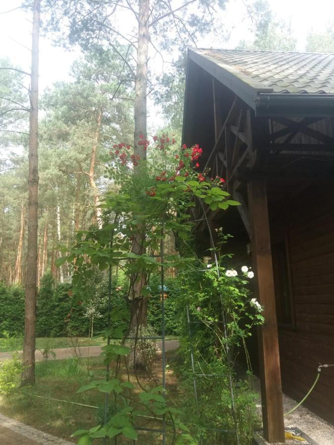 Villa Lesna Ostoja Nad Pilica
