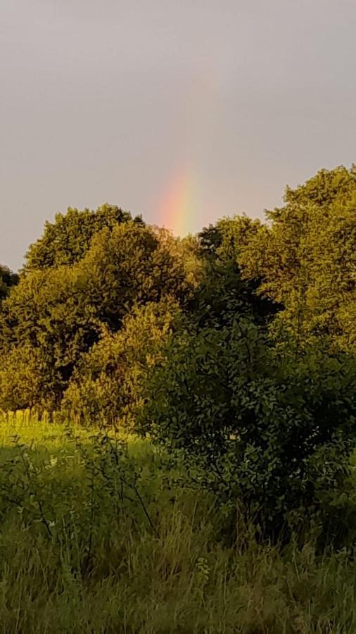 Lesna Ostoja Nad Pilica