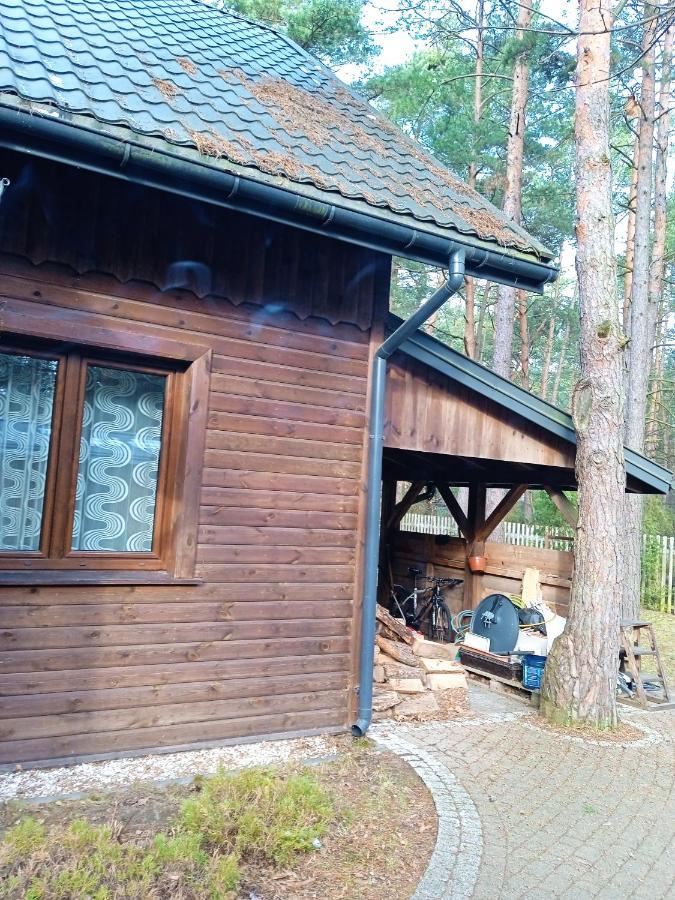 Lesna Ostoja Nad Pilica Villa *